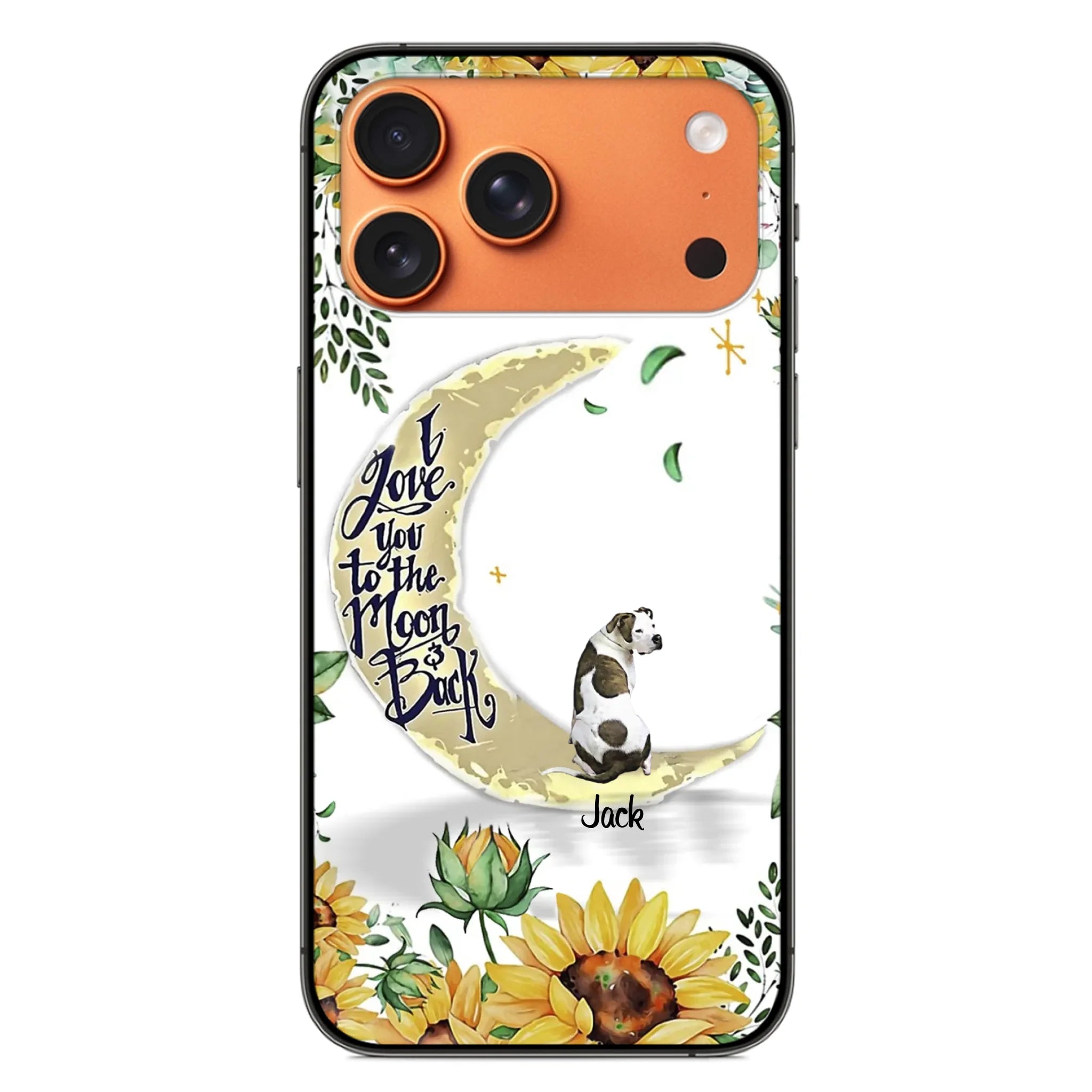 ip17 pro