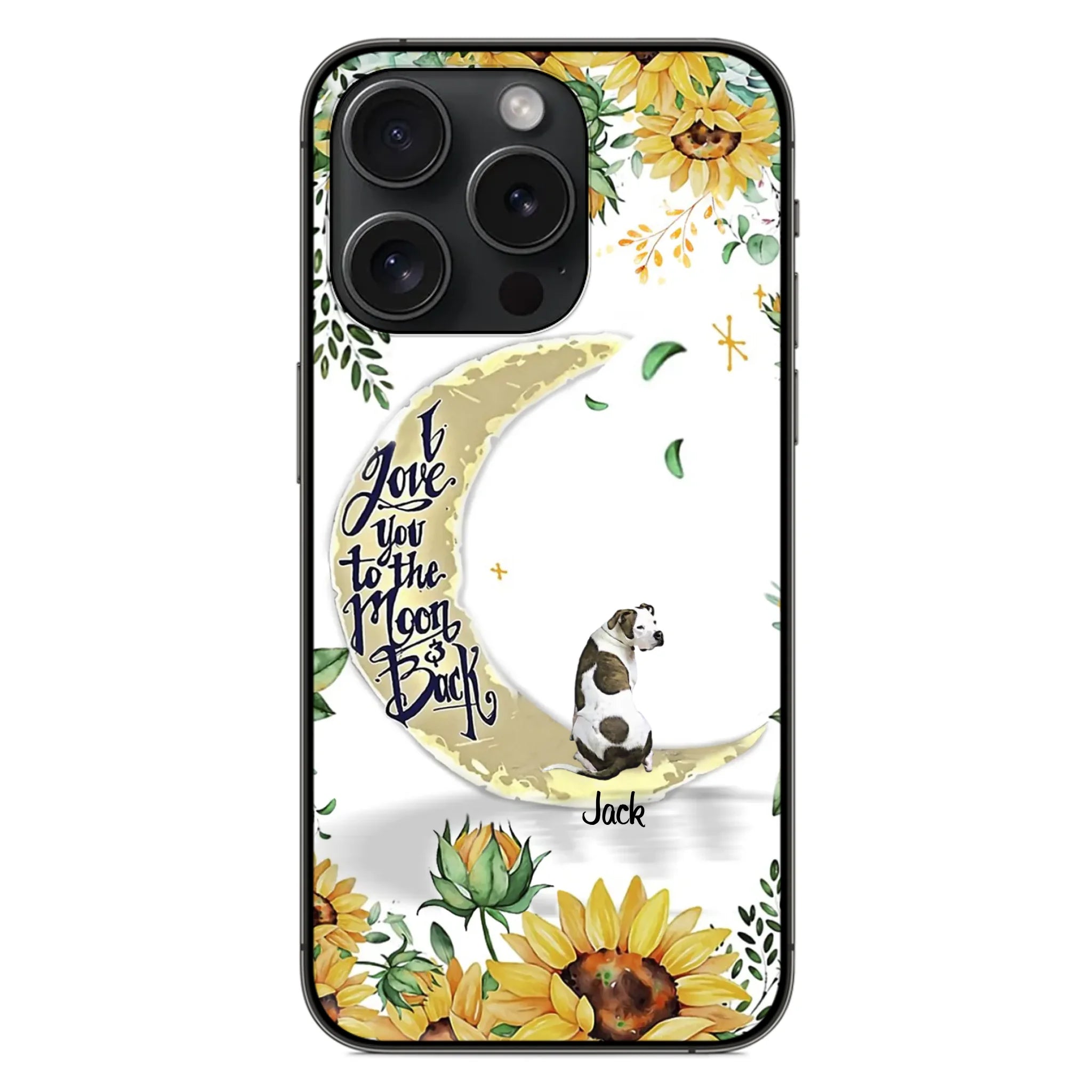 ip16 pro
