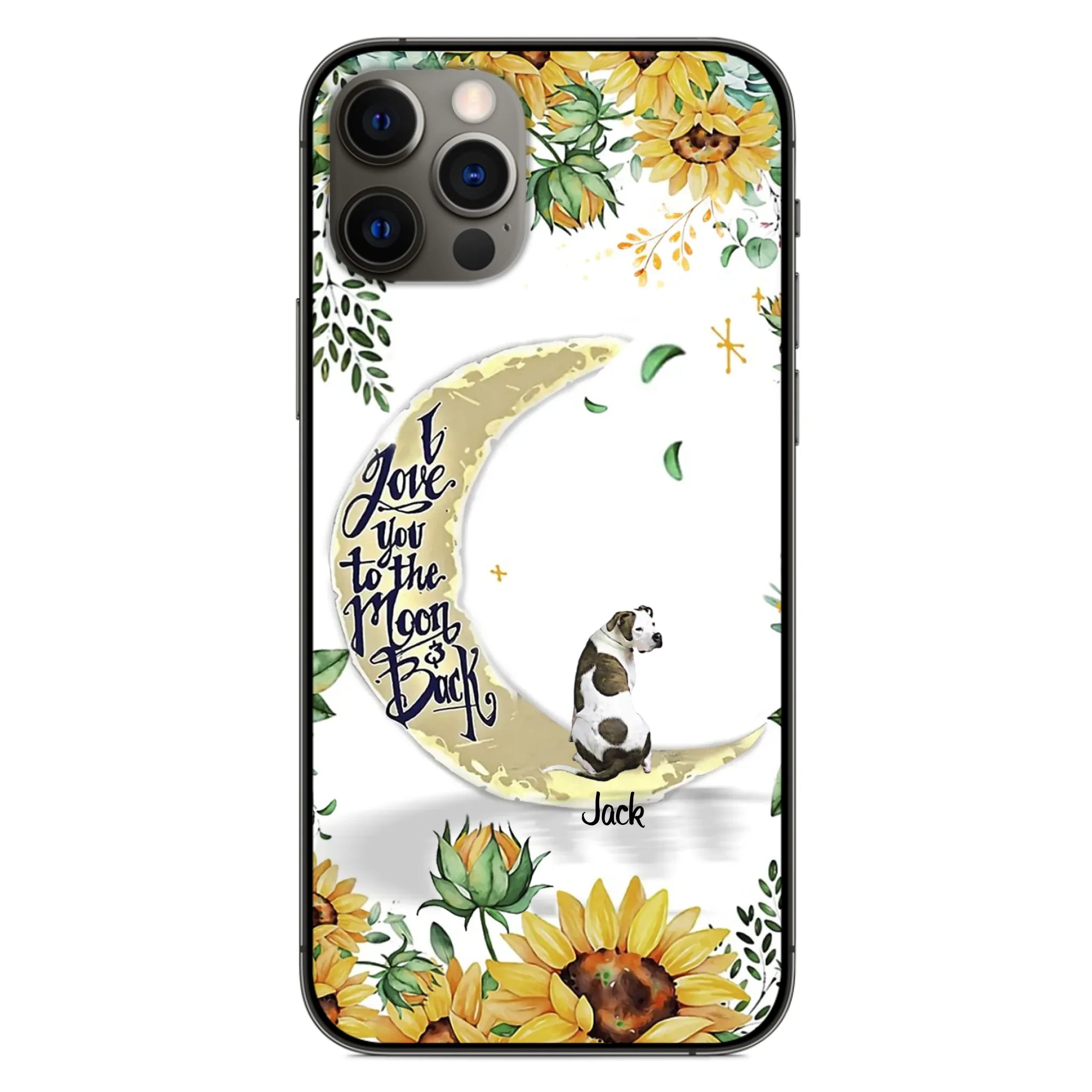 ip12 pro