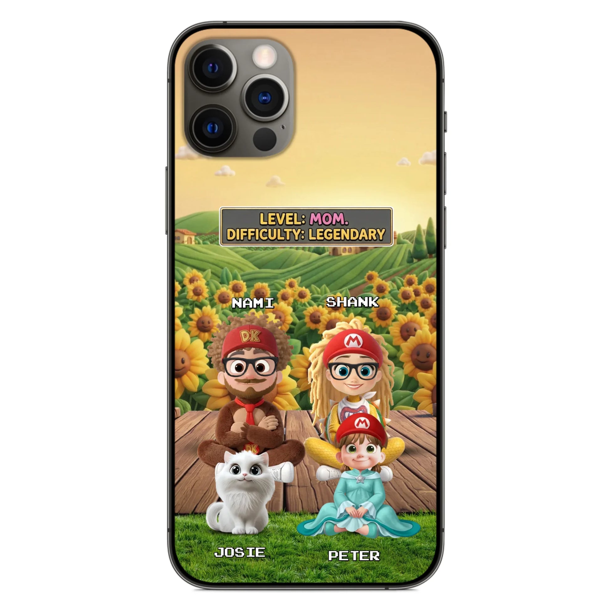 ip13 pro