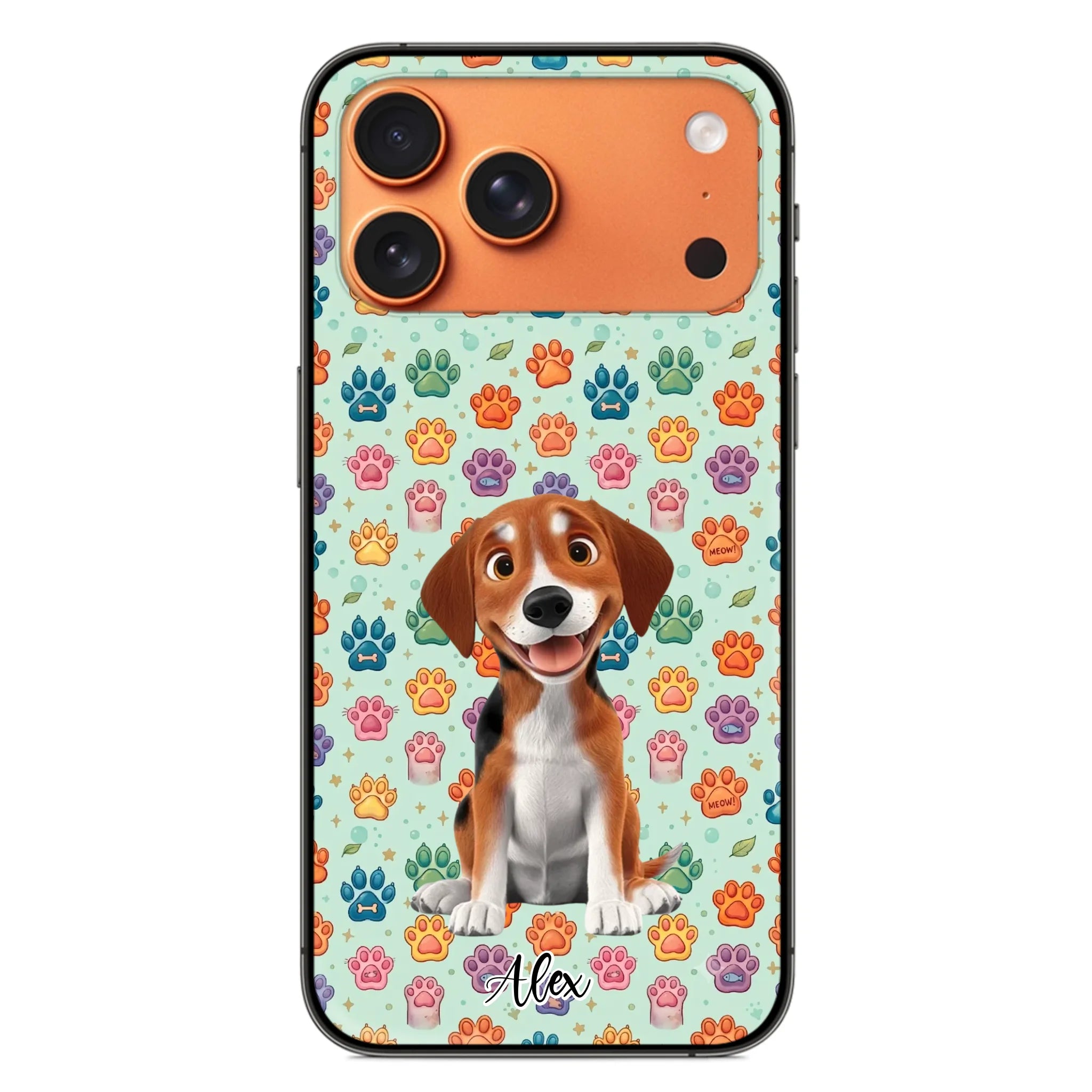 ip17 pro