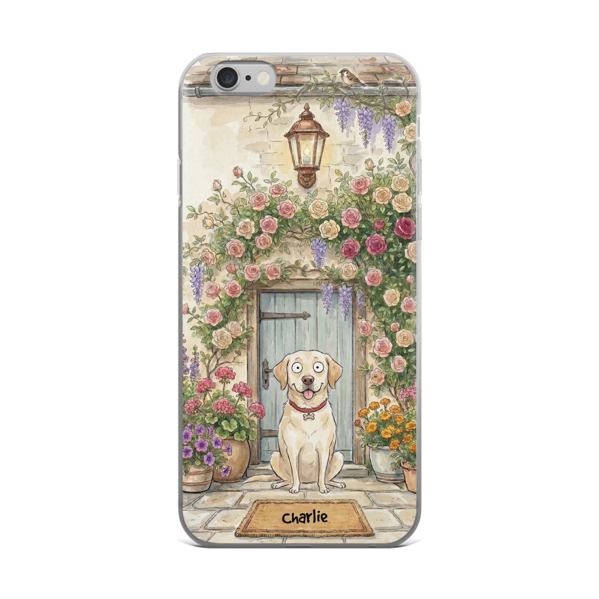ip 6plus
