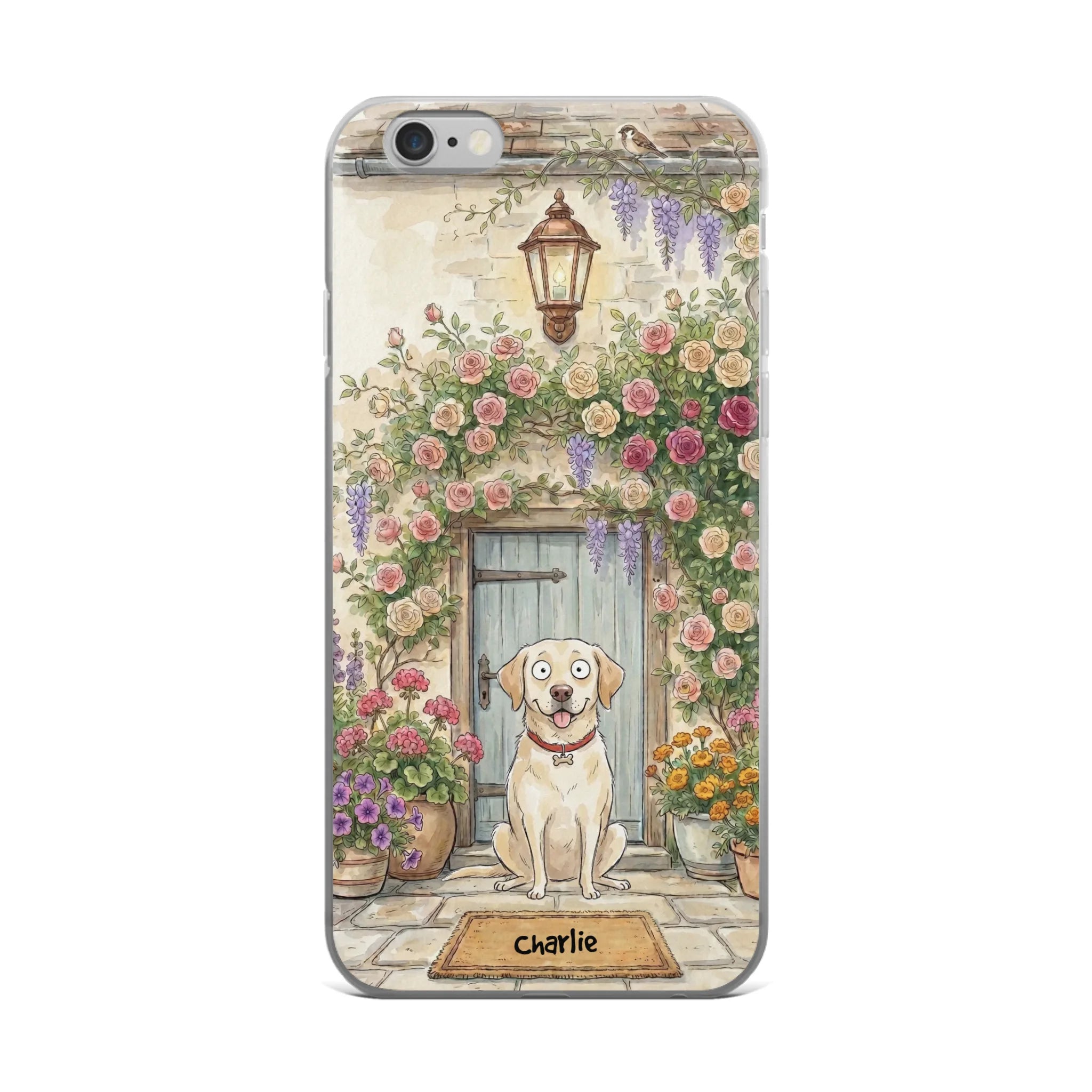 ip 6plus