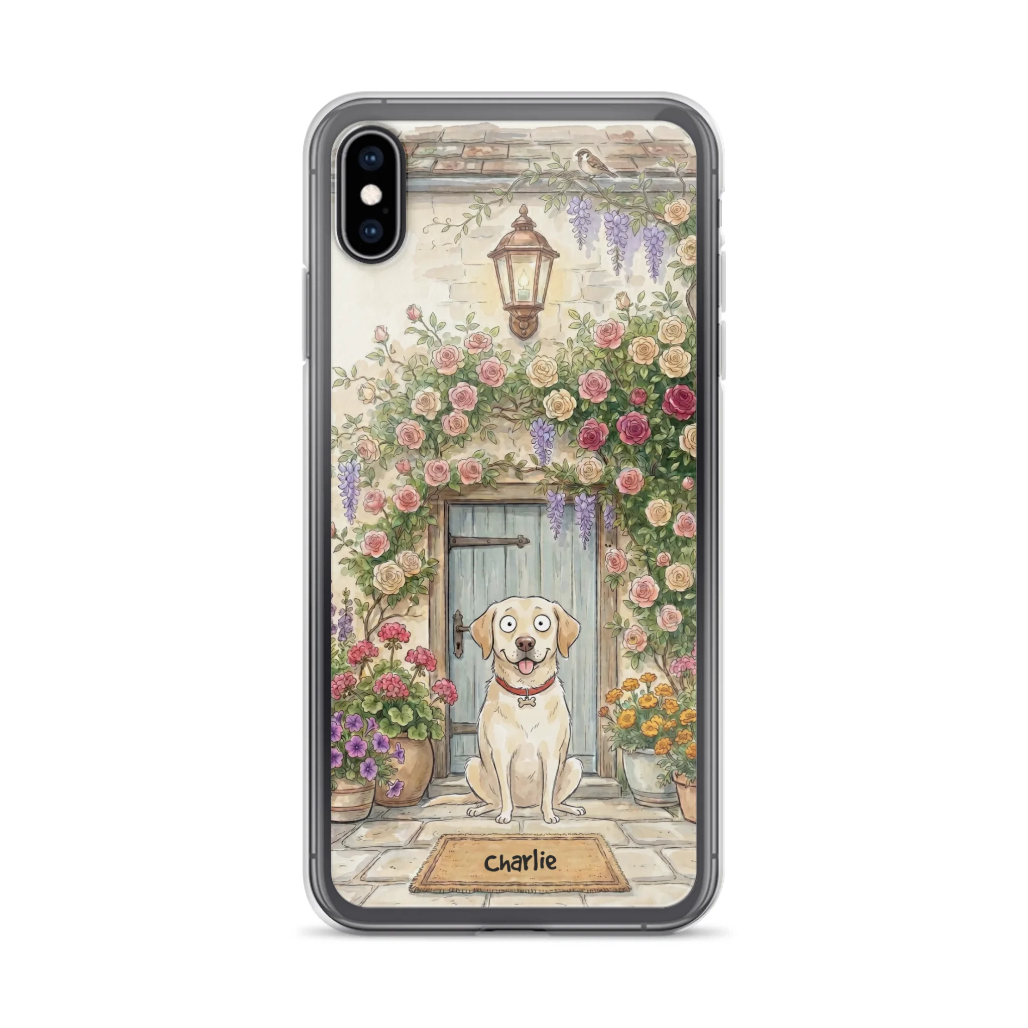 ip Xs max