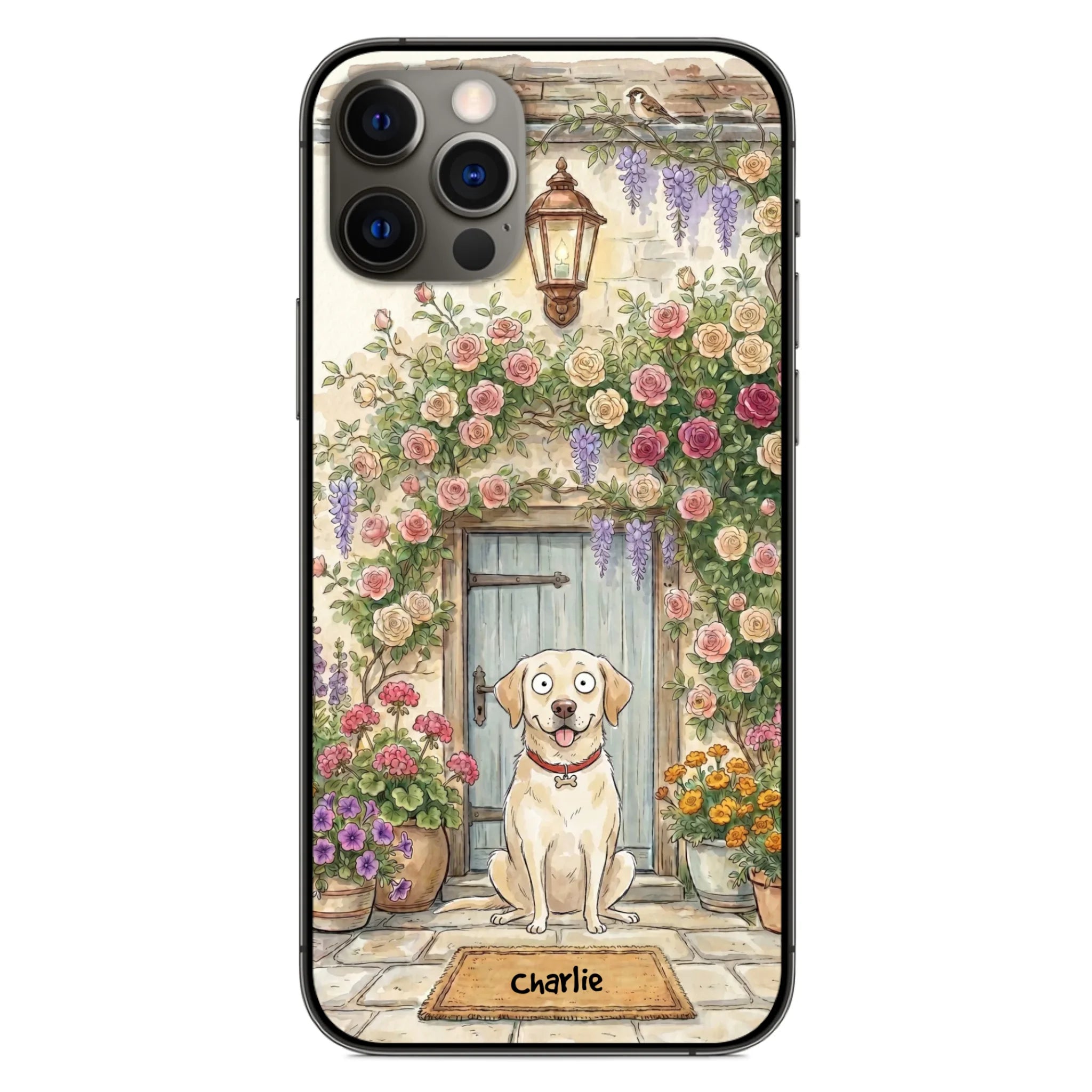 ip12 pro