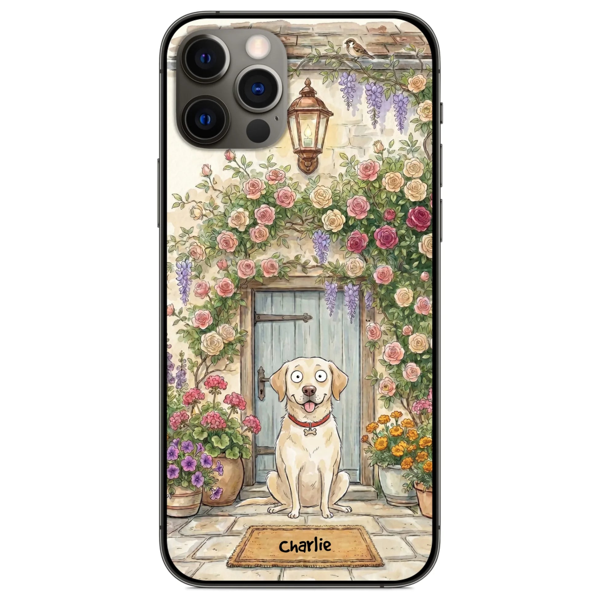 ip12 pro max
