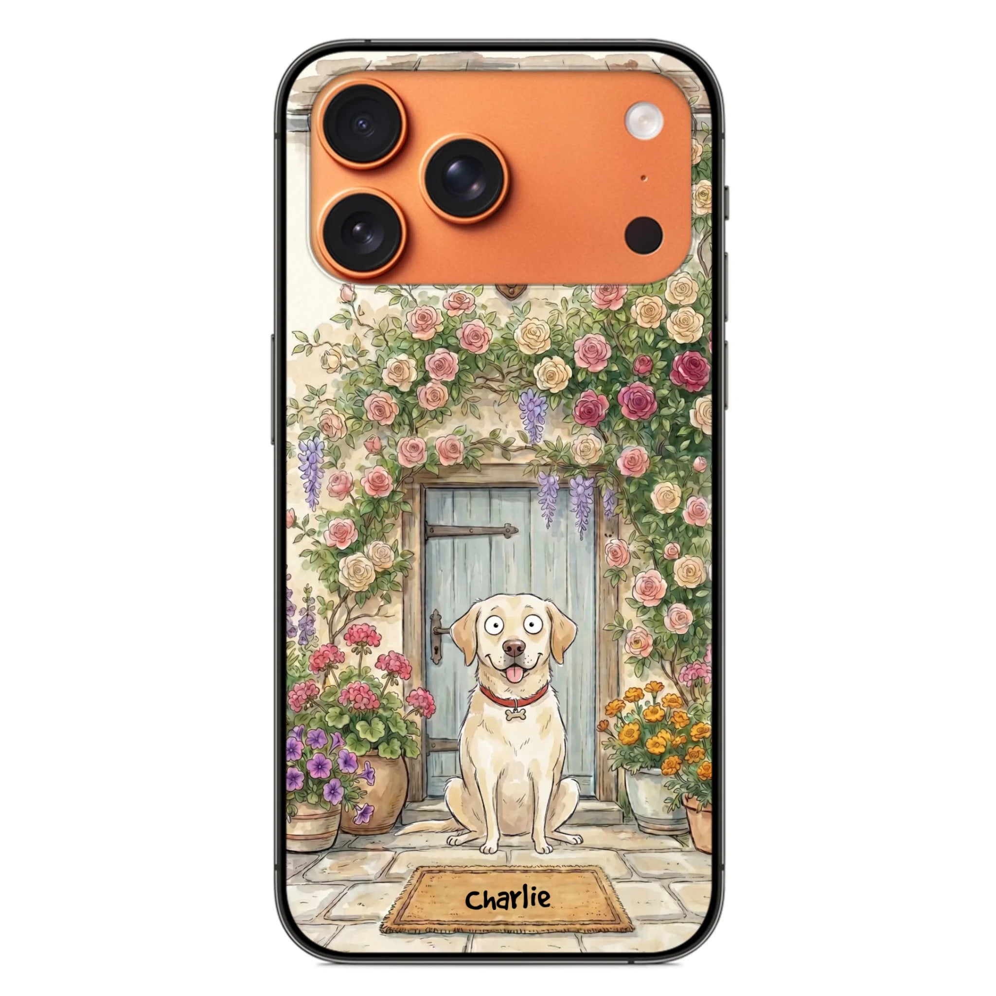 ip17 pro