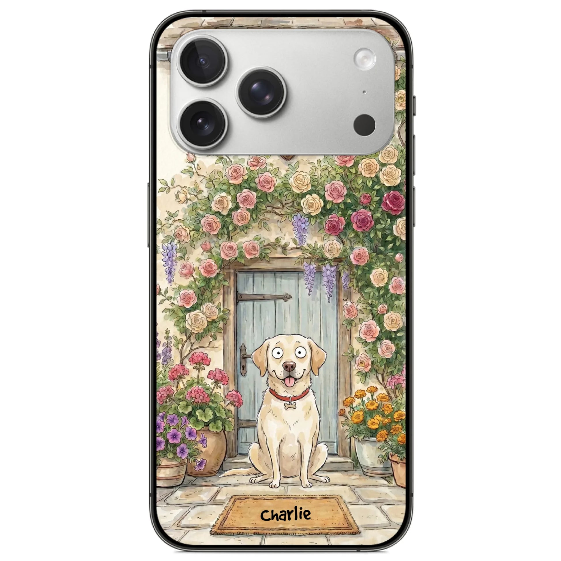 ip17 pro max