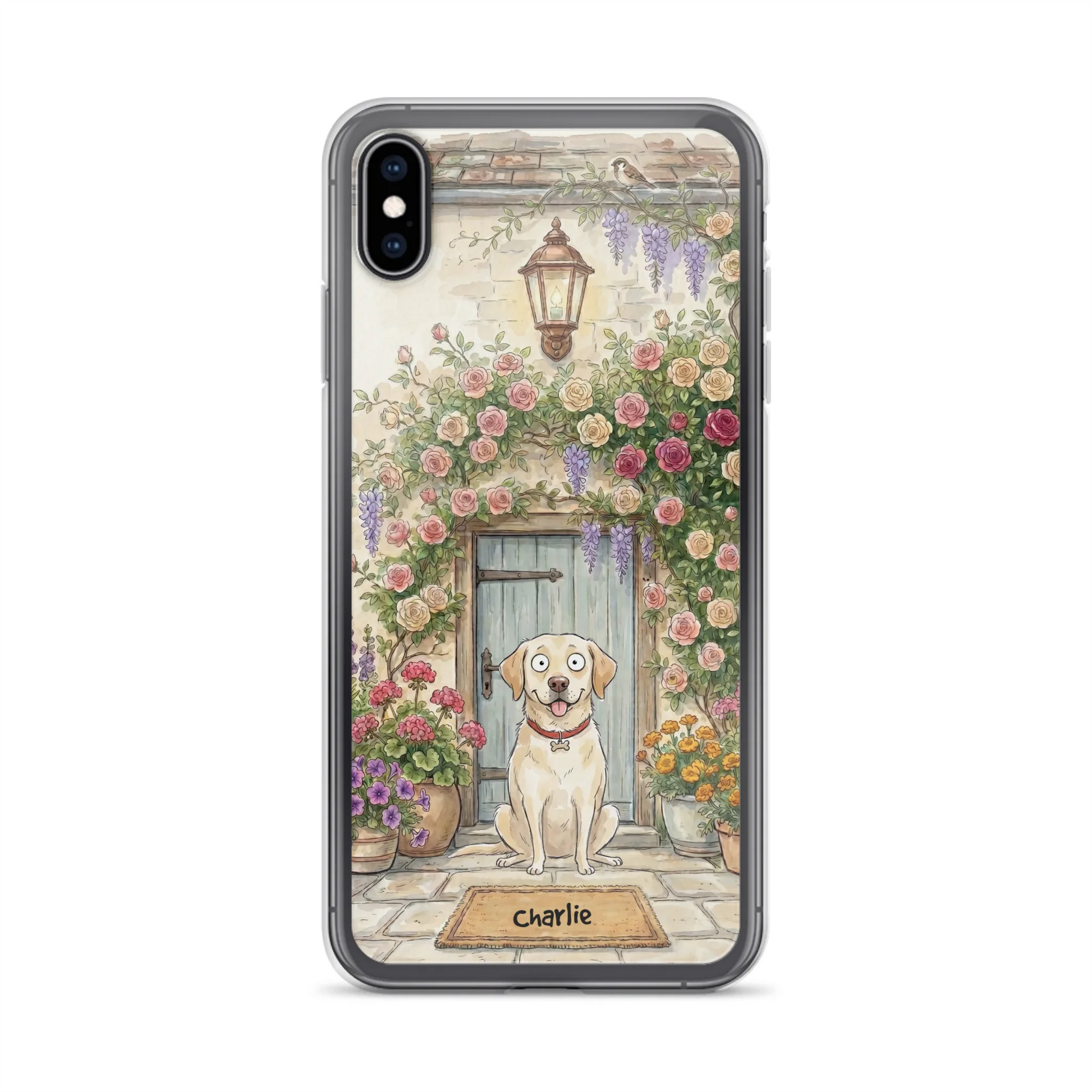 ip Xs max