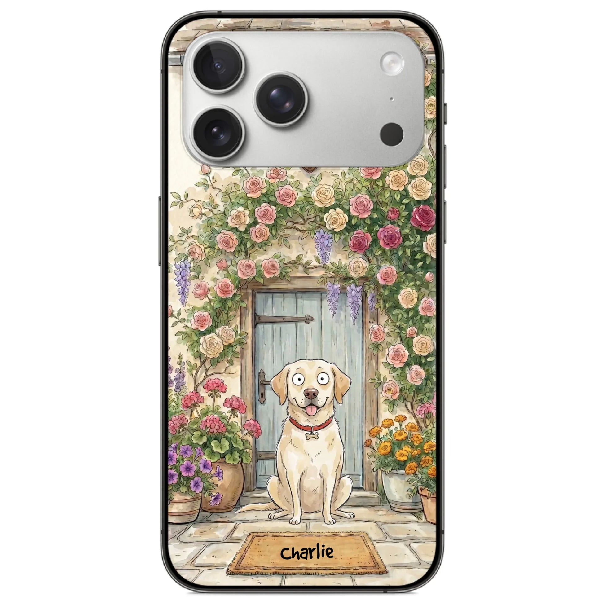 ip17 pro max