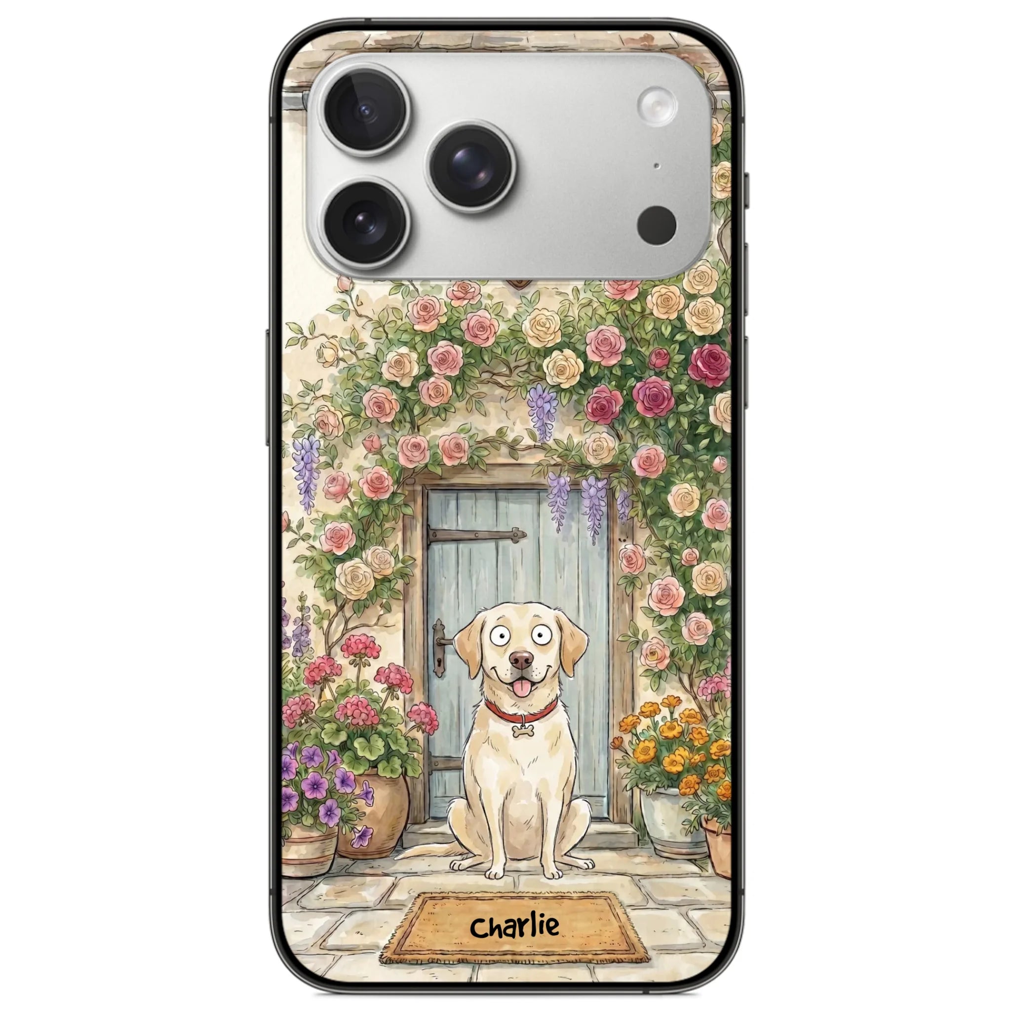 ip17 pro max